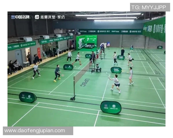 羽毛球专题:探索杭州羽毛球队的快速成长与竞技魅力